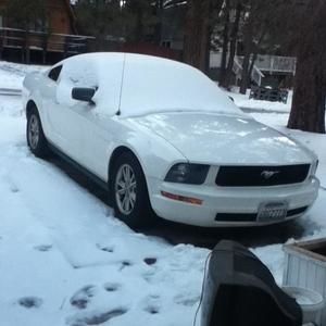 Meet your Posher, Billy